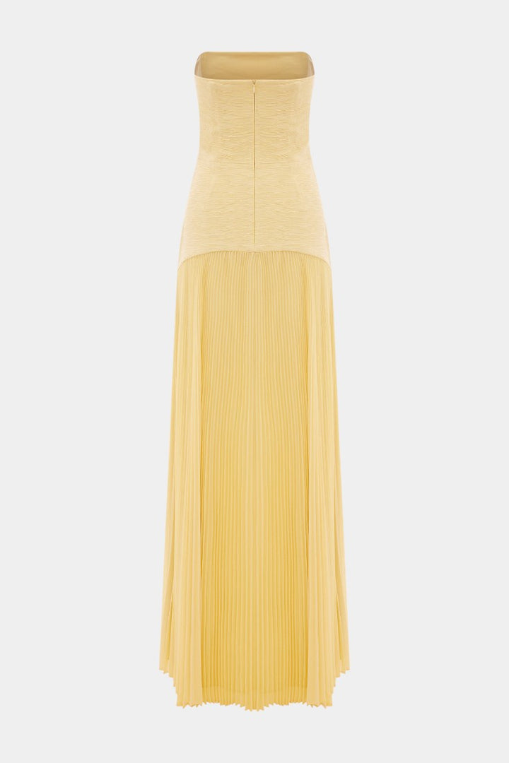 Deia Mesh Maxi Dress with Bell Sleeves